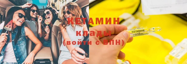 индика Дмитров