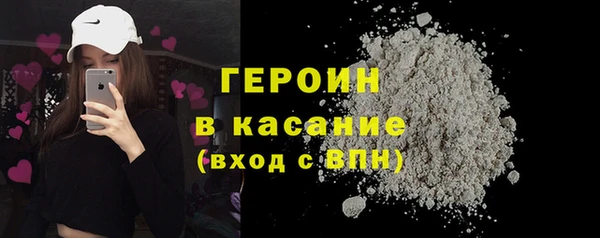 индика Дмитров