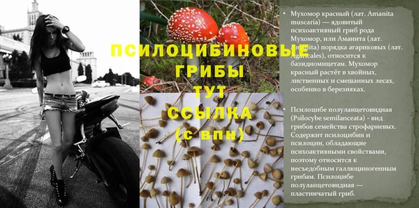 кокс Дмитровск