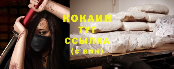 индика Дмитров