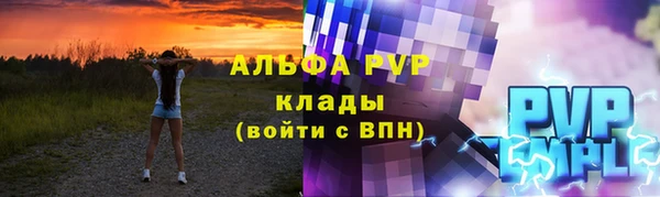 индика Дмитров