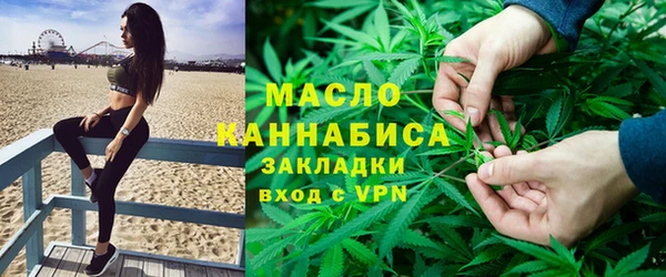 индика Дмитров