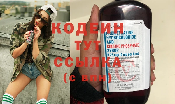 индика Дмитров