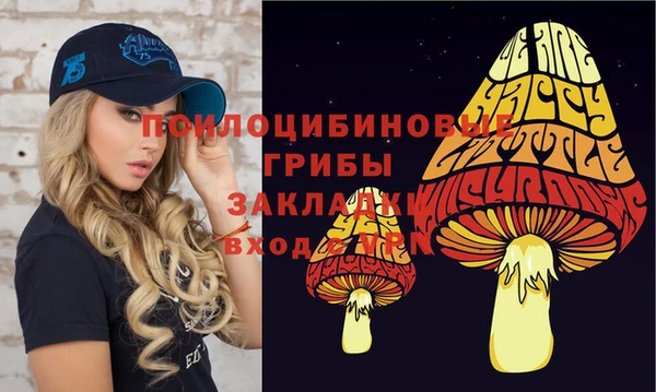 кокс Дмитровск