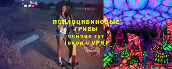 индика Дмитров