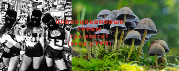 индика Дмитров