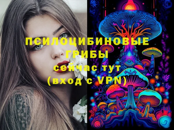 кокс Дмитровск