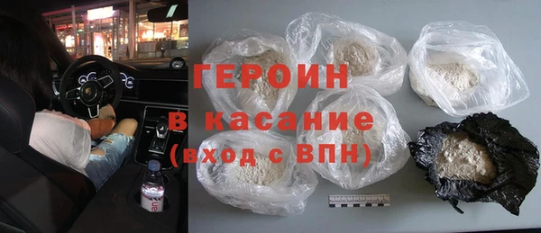 индика Дмитров
