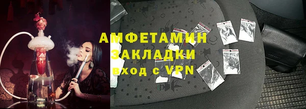 индика Дмитров