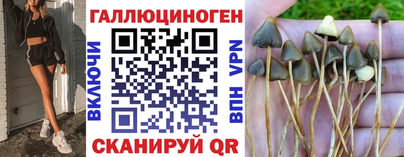 Псилоцибиновые грибы Magic Shrooms  Харовск 